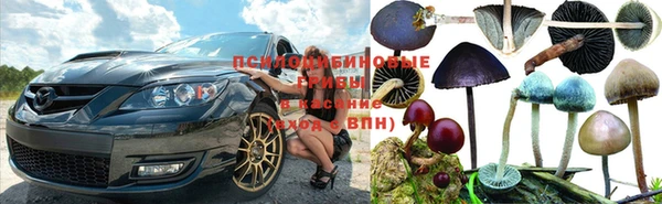 шишки Киренск