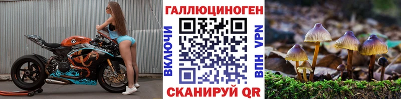 Галлюциногенные грибы Psilocybe  это клад  Ардон  где найти наркотики 