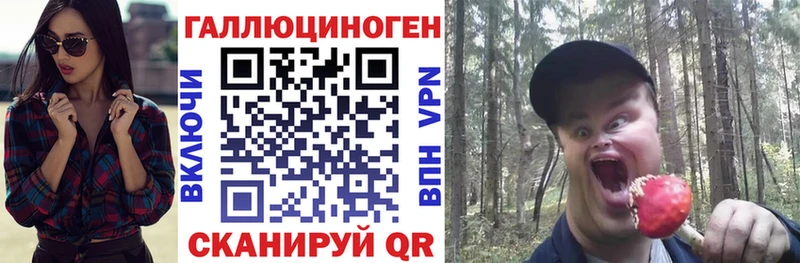Галлюциногенные грибы Psilocybine cubensis Ардон